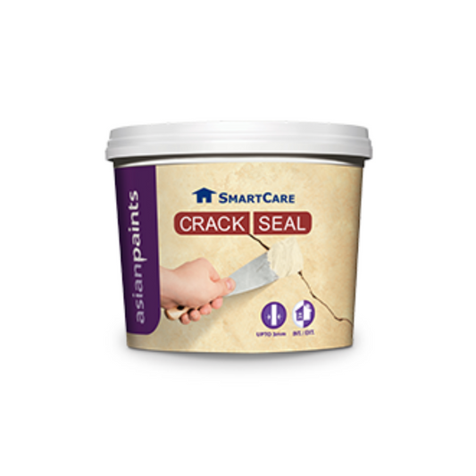 Asian Paints Crack Seal 900gm